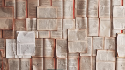 Blog Content Taxonomy: A Complete Reference of Article Elements